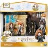 Harry Potter Room Of Requirement Playset 2 Figures 2 Patronus