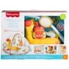 Fisher Price Go Wild Gym & Giraffe Wedge Mat Music Light