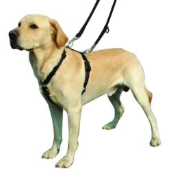 Kumfi Complete Control Harness For Dogs Safety Restraint -XS-Stock PRI376480 2 opt
