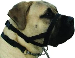 Kumfi Dogalter Canine Head Collar Training Halter Anti Pulling -XS-Stock PRI376484 2 opt