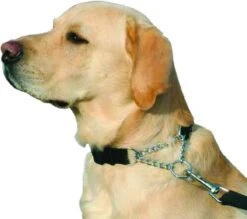 Kumfi Kombi Dog Collar Half Check Fully Adjustable Easy Fit -XS-Stock PRI376489 2 opt