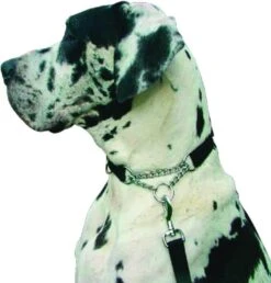 Kumfi Kombi Dog Collar Half Check Fully Adjustable Easy Fit -XS-Stock PRI376493 2 opt