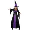 Spellbound Horror Witch Womens Purple Costume Halloween
