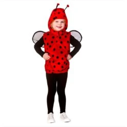 Childs Ladybird Hooded Tabard Ladybug Fancy Dress Age 3-5