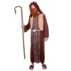 Boys Nativity Shepherd Brown Halloween Xmas Costume