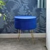 Hodge & Hodge Aria Plush Velvet Storage Stool With Gold Legs