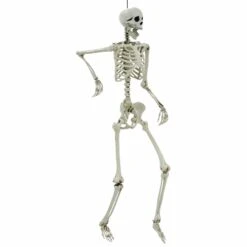 Life Size Poseable Skeleton Halloween Decoration Party Prop 152cm -XS-Stock XS7424 2 opt