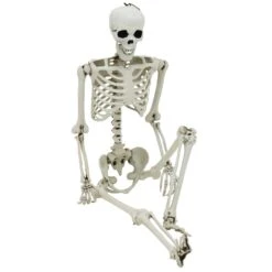 Life Size Poseable Skeleton Halloween Decoration Party Prop 152cm -XS-Stock XS7424 4 opt
