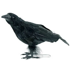 Black Crow Halloween Decoration Bird Realistic Feathers Raven 25cm -XS-Stock XS7435 2 opt
