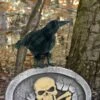 Black Crow Halloween Decoration Bird Realistic Feathers Raven 25cm
