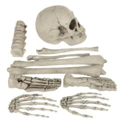 10pc Skeleton Bones Set Graveyard Tomb Props Party Decoration -XS-Stock XS7463 2 opt