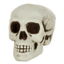 Pack Of 6 Skulls 10cm Plastic Set Halloween Party Decoration -XS-Stock XS7464 2 opt
