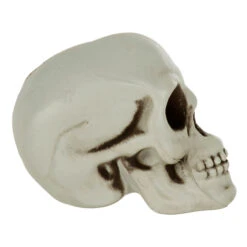 Pack Of 6 Skulls 10cm Plastic Set Halloween Party Decoration -XS-Stock XS7464 3 opt